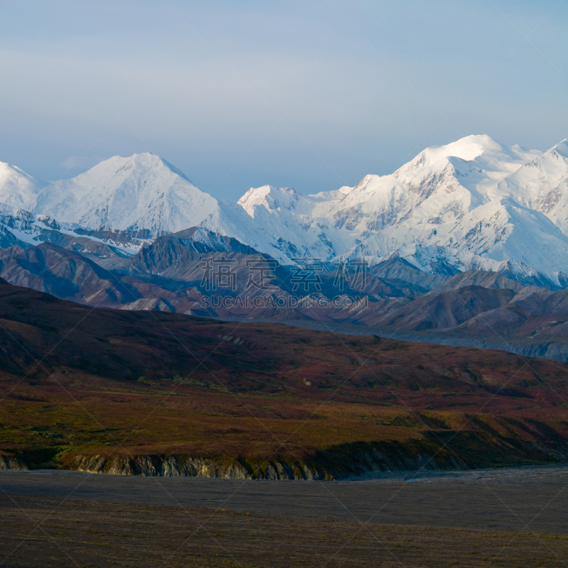 麦金利峰,山,冻原,阿拉斯加,自然,风景,全景,图像,雪