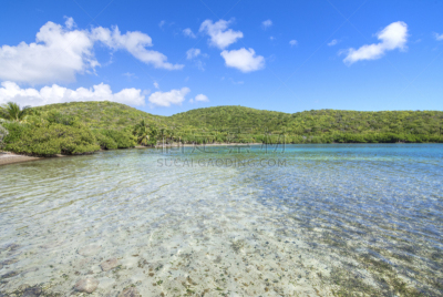 浅的,加勒比海地区,海湾,丘陵起伏地形,天空,波多黎各,水平画幅,枝繁叶茂,山,无人