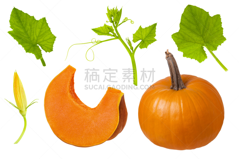 部分,熟的,白色背景,南瓜,切片食物,完整,叶子,茎,绿色,仅一朵花