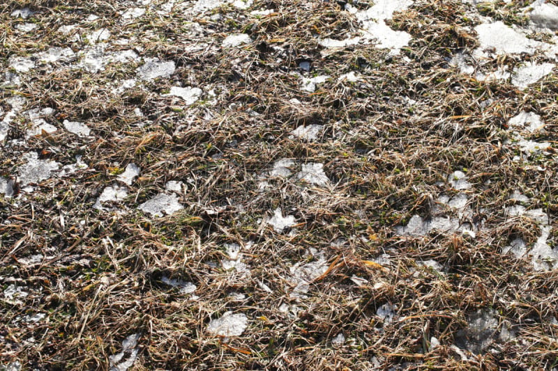 雪,农场,季节,冬天,田地,工业,斯普林费德,早晨,工作,融化