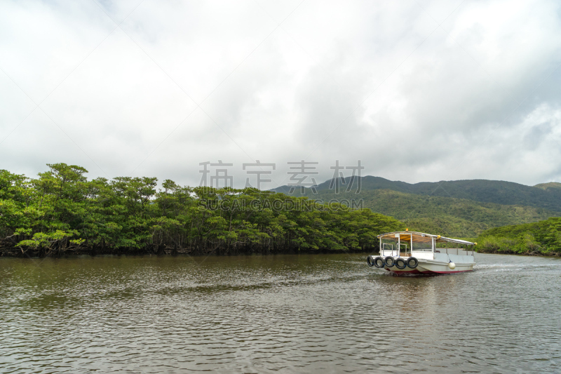 红树林,西表岛,河流,度假胜地,水平画幅,枝繁叶茂,无人,热带雨林,东亚,户外