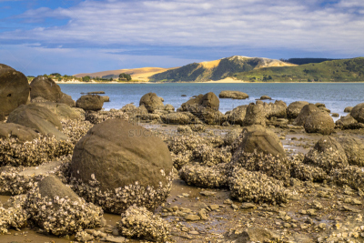Northland Region,沙丘,巨石,背景幕,新英格兰,基昂加港,水湾,河口,水