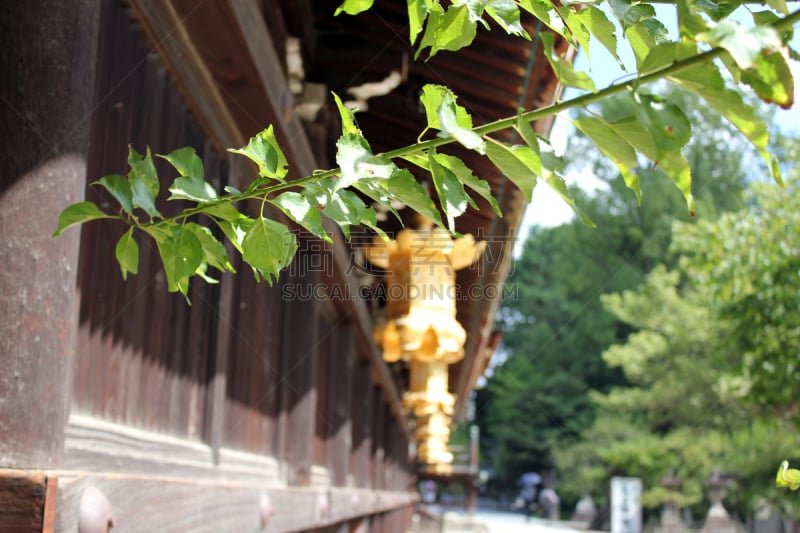 北野天满宫,京都府,灯笼,杰温传统高球赛,旅游目的地,水平画幅,高尔夫球运动,无人,日本,市场