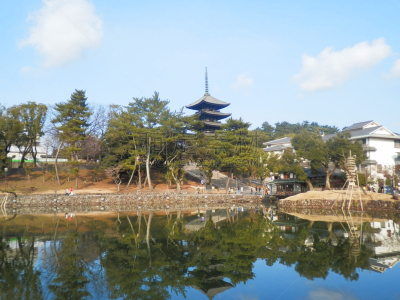 奈良市,池塘,兴福寺,江户时代,水,水平画幅,夜晚,无人,古老的,户外