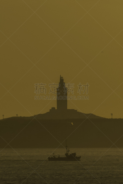 塔,拉科鲁尼亚,西班牙,塔赫,阿科鲁尼亚,加利西亚,渔业,垂直画幅,鸟类,大西洋