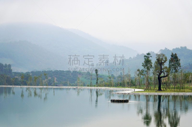 雾,山,暗色,云,泰国,黄昏,草,树干,植物,热带树