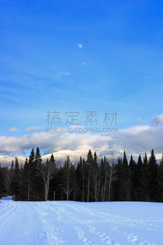 树林,垂直画幅,公园,雪,无人,户外,美洲,运动,冬天