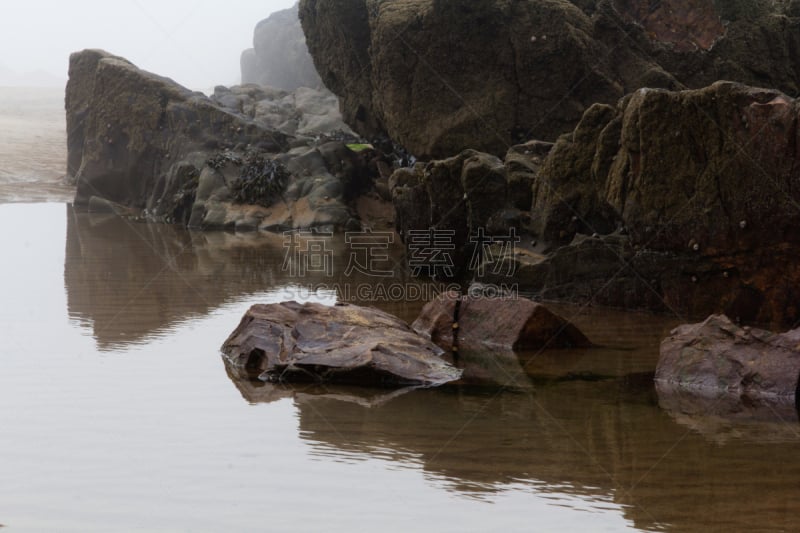 岩石,海洋,海滩,雾,背景,自然,水平画幅,无人,户外,布得