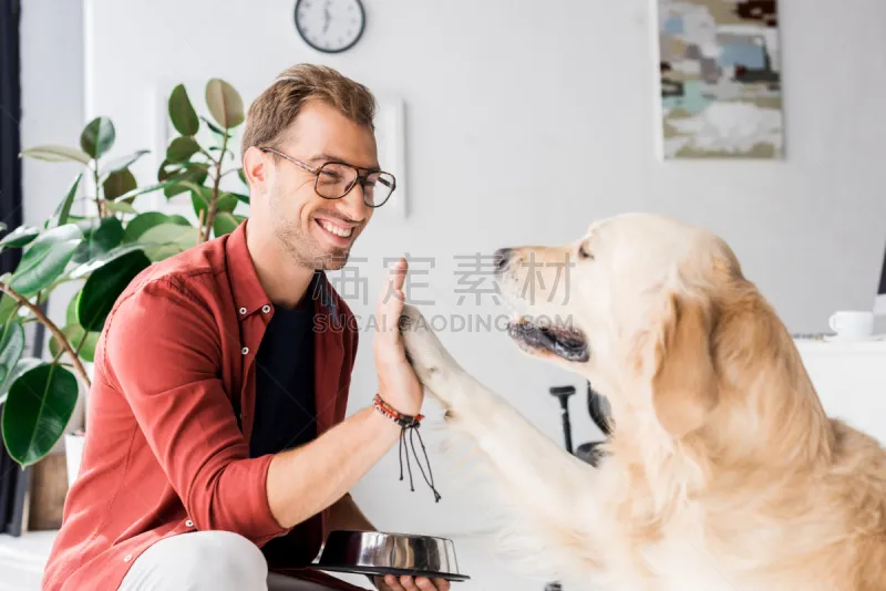 男人 狗 金毛寻回犬 幸福 五只动物 眼镜 可爱的 宠物 纯种犬 人图片素材下载 稿定素材 男人 狗 金毛寻回犬 幸福 五只动物 眼镜 可爱的 宠物 纯种犬 人图片素材下载 稿定素材