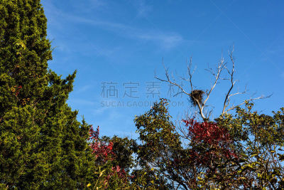 秋天,海湾,牙买加,水,天空,公园,褐色,水平画幅,云,无人