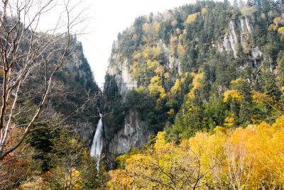 秋天,日本,北海道,山谷,层云峡,水平画幅,橙色,地形,无人,早晨