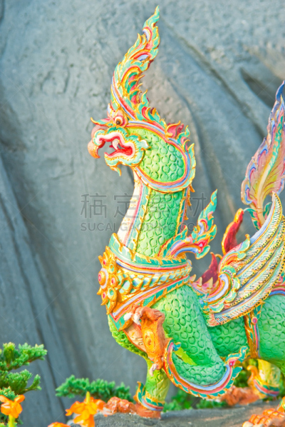 动物,垂直画幅,美,艺术,优美,美人,班戈寇科省,泰国,彩色背景