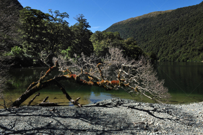 新西兰,峡湾,水平画幅,雪,瀑布,无人,主教法冠,户外,山,著名景点