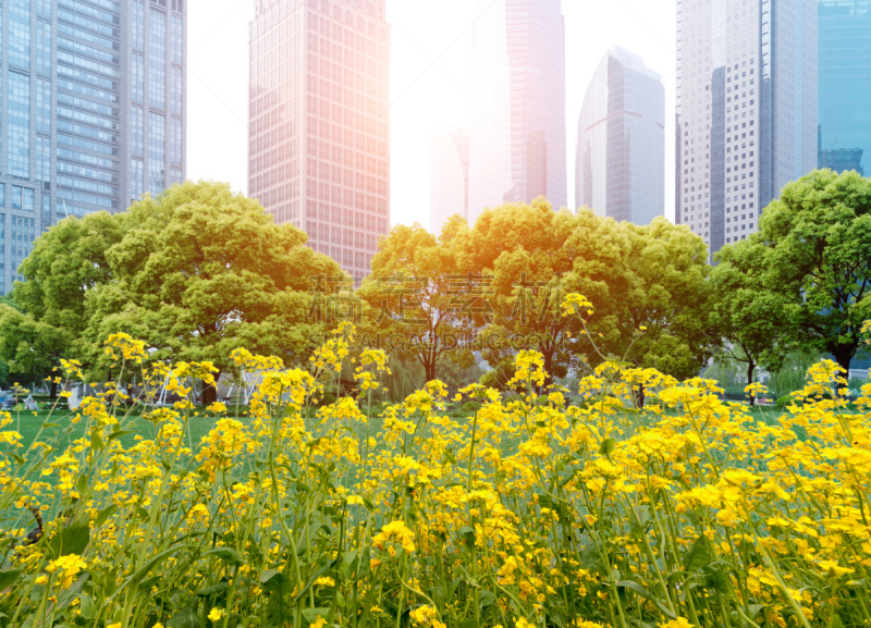 建筑业,现代,未来,外立面,水平画幅,玻璃,户外,都市风景,公司企业,闪亮的