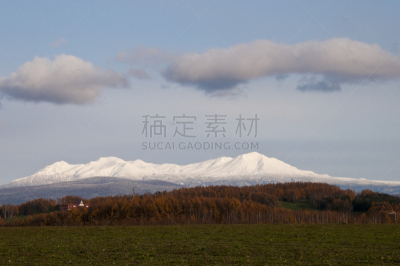 雪,山脉,落叶松,森林,旭岳火山,大雪山,日本落叶松,旭川,北海道,自然