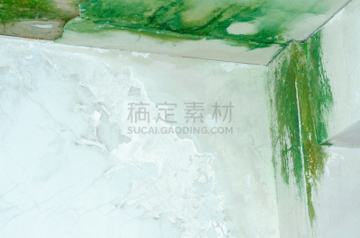 房屋,茂德,危险,砖,肮脏的,凌乱,霉病,乡村风格,水灾,建筑