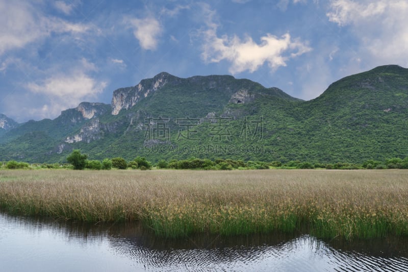 湿地,绿山国家森林公园,热带气候,泰国,草,池塘,阴影,植物,河流,户外