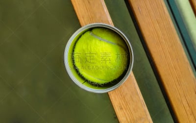 运动,网球运动,家畜,球,球拍运动,休闲活动,英格兰,草坪,球场,球体