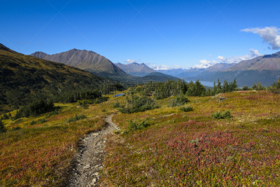 迷失湖,小路,阿拉斯加,苏华德,基奈山脉,铁杉树,冻原,水平画幅,秋天,无人