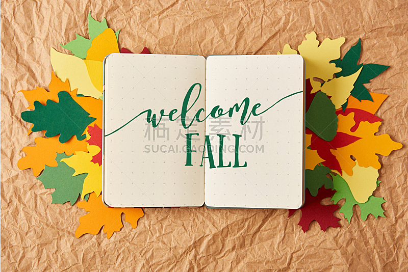 弄皱的,秋天,抽陀螺,背景幕,欢迎标志,多色的,笔记本,文字,叶子,手工纸