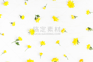 仅一朵花,黄色,边框,白色背景,贺卡,留白,高视角,古典式,夏天,生日