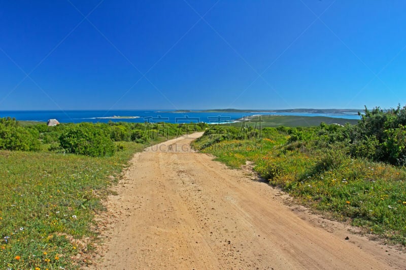 朗厄班,地形,野花,海洋,南非,水,天空,公园,水平画幅,沙子