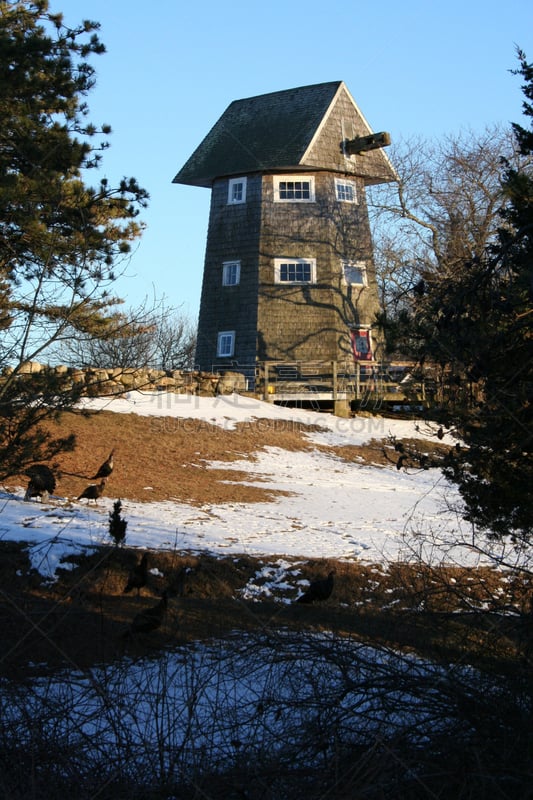 马莎葡萄园,传统风车,垂直画幅,天空,冬天,雪,无人,蓝色,门纳穆莎,户外