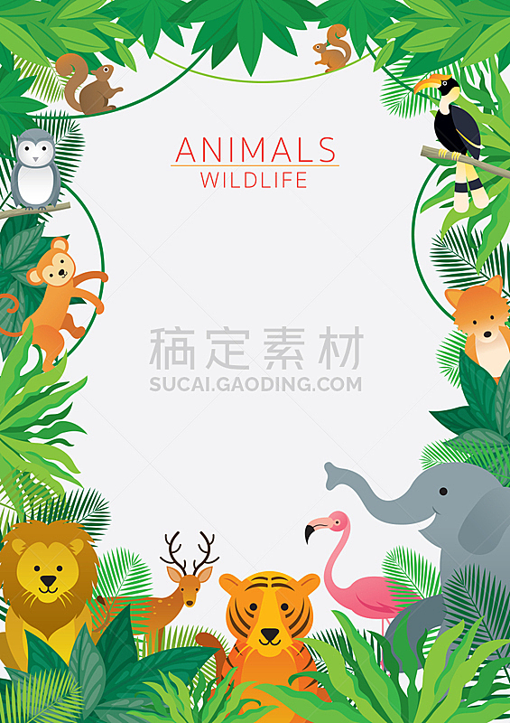 边框,野外动物,热带雨林,猴子,可爱的,热带气候,野生动物,泰国,狮子,枝繁叶茂