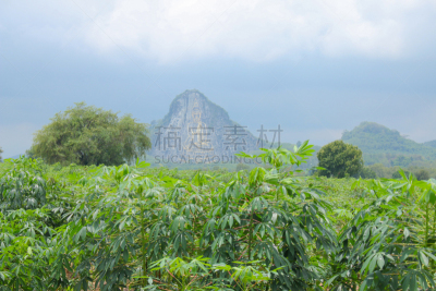 佛教,山,背景,芭堤雅,琼不里省,天空,灵性,水平画幅,无人,符号
