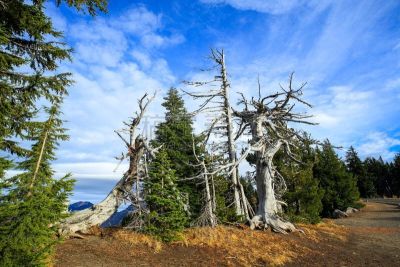 火山湖,俄勒冈州,美国,美国西北太平洋地区,视角,著名自然景观,云景,马扎马火山,云,克拉玛瀑布