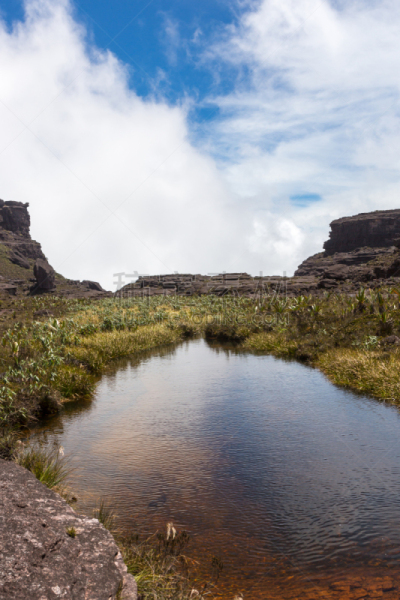 罗赖马山,canaima,罗赖马州,平顶山,平顶山区,委内瑞拉,垂直画幅,南美,无人,户外