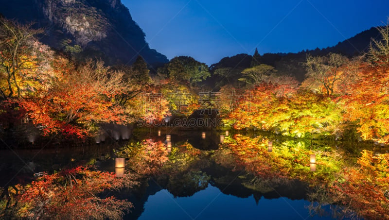 夜晚,秋天,星和园,自然美,枫叶,倒影湖,九州,动物,园林,枫树