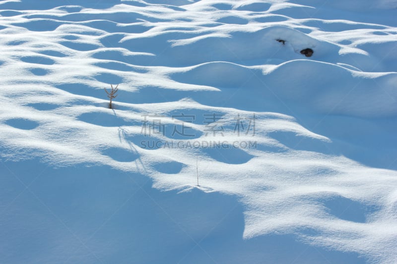 雪,腰部以下,纹理效果,圣诞装饰物,纯净,户外,白色,魅力,自然,干净