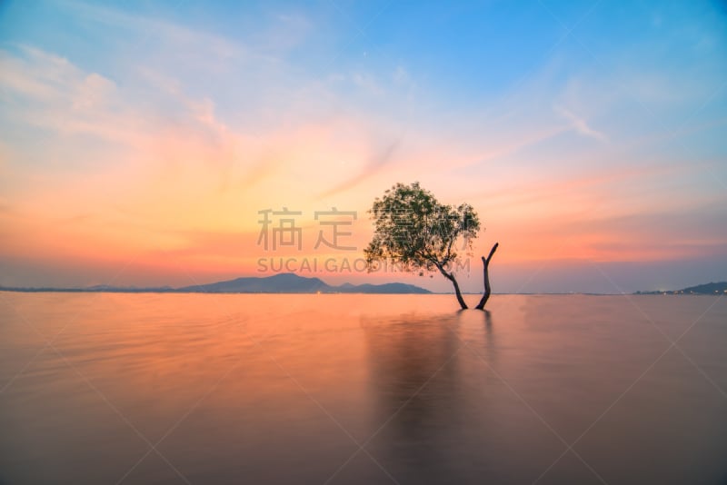 湖,水灾,风景,活力,水,公园,水平画幅,无人,鸟类,早晨