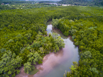 红树林,泰国,河流,航拍视角,水,水平画幅,高视角,无人,海岸地形,沼泽