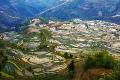 元阳,梯田,云南省,中国,露台别墅,哈尼族,雕塑家,锥形帽,建筑露台,昆明