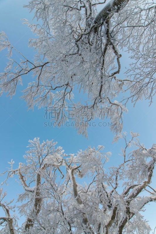 冬天,山,daisen,鸟取,天空,蓝色,活力,安静,运动,一月