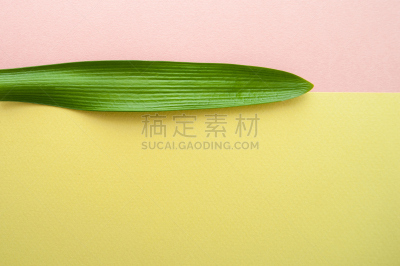 叶子,绿色,粉色,热带的花,彩色蜡笔,背景,lacewing,叶蝉,螺旋弹簧,情绪板