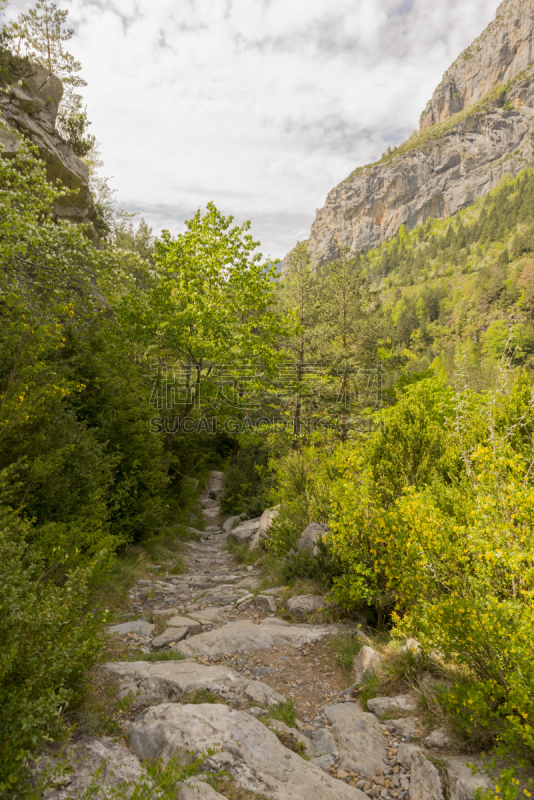 托拉,韦斯卡,宝丽丝山脉,徒步旅行,ordesa national park,阿拉贡,自然,垂直画幅,天空,地形