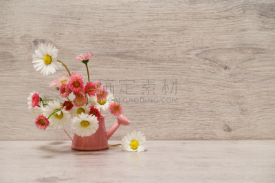 小的,夏天,时尚,极简构图,白色,茼蒿菊,粉色,雏菊,光,花