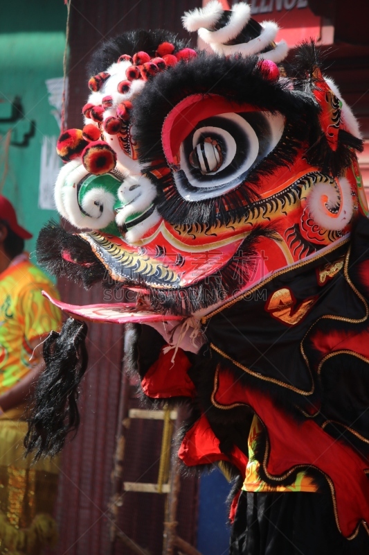 狮王,垂直画幅,舞狮服装,图像,舞者,狮子,传统节日,庆祝,表演,摄影