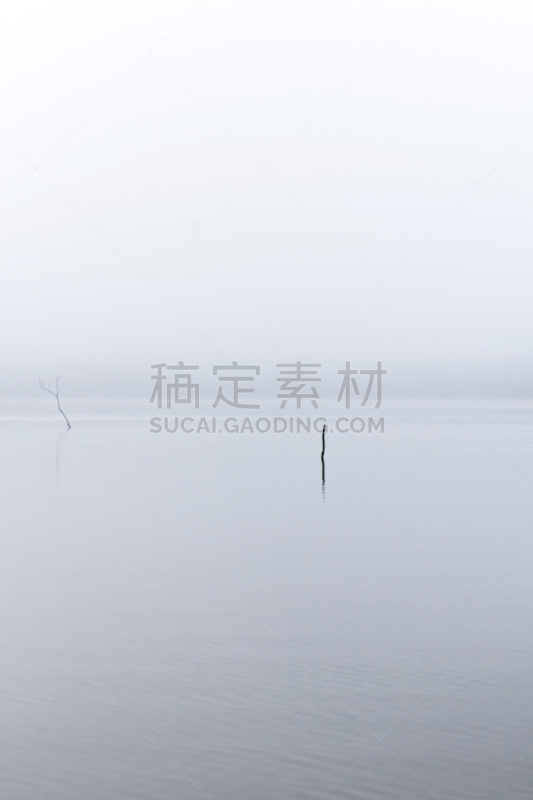 亚马逊河,巴西,雾,地形,风景,亚马孙洲,垂直画幅,南美,水,美