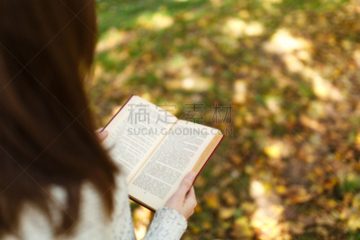 白色,书,热,金色,女人,秋天,概念,公园,褐色,毛衣