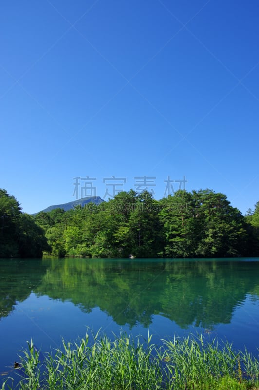 格希奇努麦,北盐原,福岛里,福岛县,垂直画幅,水,无人,夏天,户外,湖