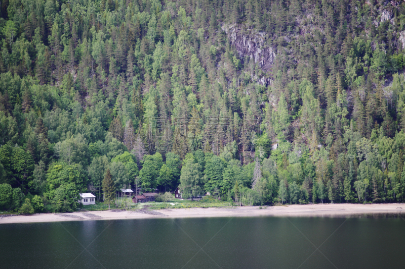 夏天,湖,风景,森林,白昼,残酷的,自然,水,松树,水平画幅