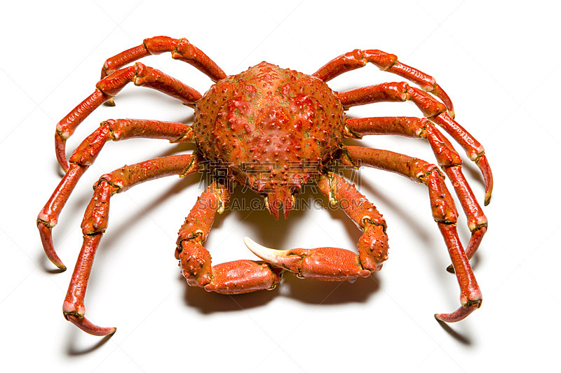 澳大利亚巨蟹,水平画幅,巨大的,海产,螃蟹,蟹腿,生鱼片,日本食品,清新,大块头