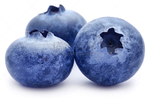 有机食品,蓝莓,自然,水平画幅,水果,蓝色,浆果,白色背景,熟的,背景分离