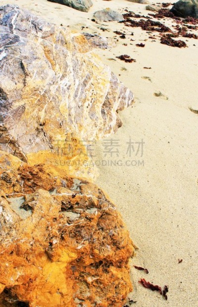 太阳,橙色,无人,垂直画幅,岩石,图像,加利福尼亚,海洋,红海草,太平洋