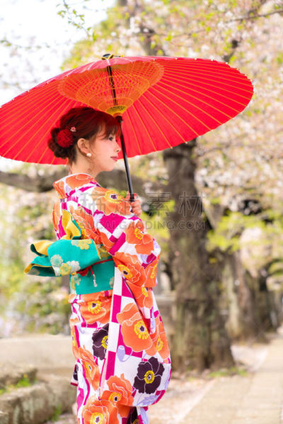 和服,日本人,女孩,衣服,青年人,传统服装,长袖和服,伞,儿童,中国人