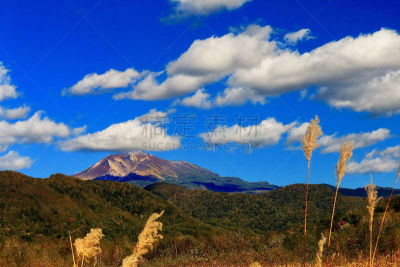 秋天,旭岳火山,雪山,雪,著名景点,植物,大雪山,户外,晴朗,日本